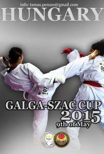 GSzCup_2015