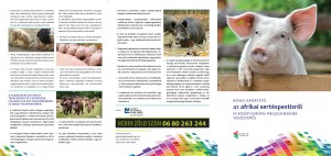 Hasznos_tanacsok_az_afrikai_sertespestis_ megelozesehez