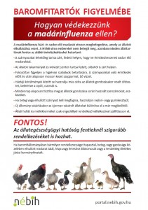 Hogya védekezzünk a madárinfluenza ellen